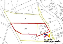 Dwa domy z ziemią rolną w Broniszowie